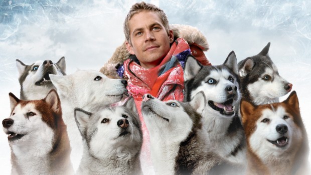 25 Film Da Cani Dogsportalit