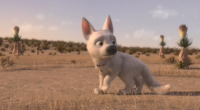 25 Film Da Cani Dogsportalit