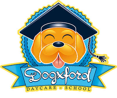 Sul sito dell'asilo di Dogxford trovi tutte le informazioni e il modo di prenotare la tua esperienza con il cane