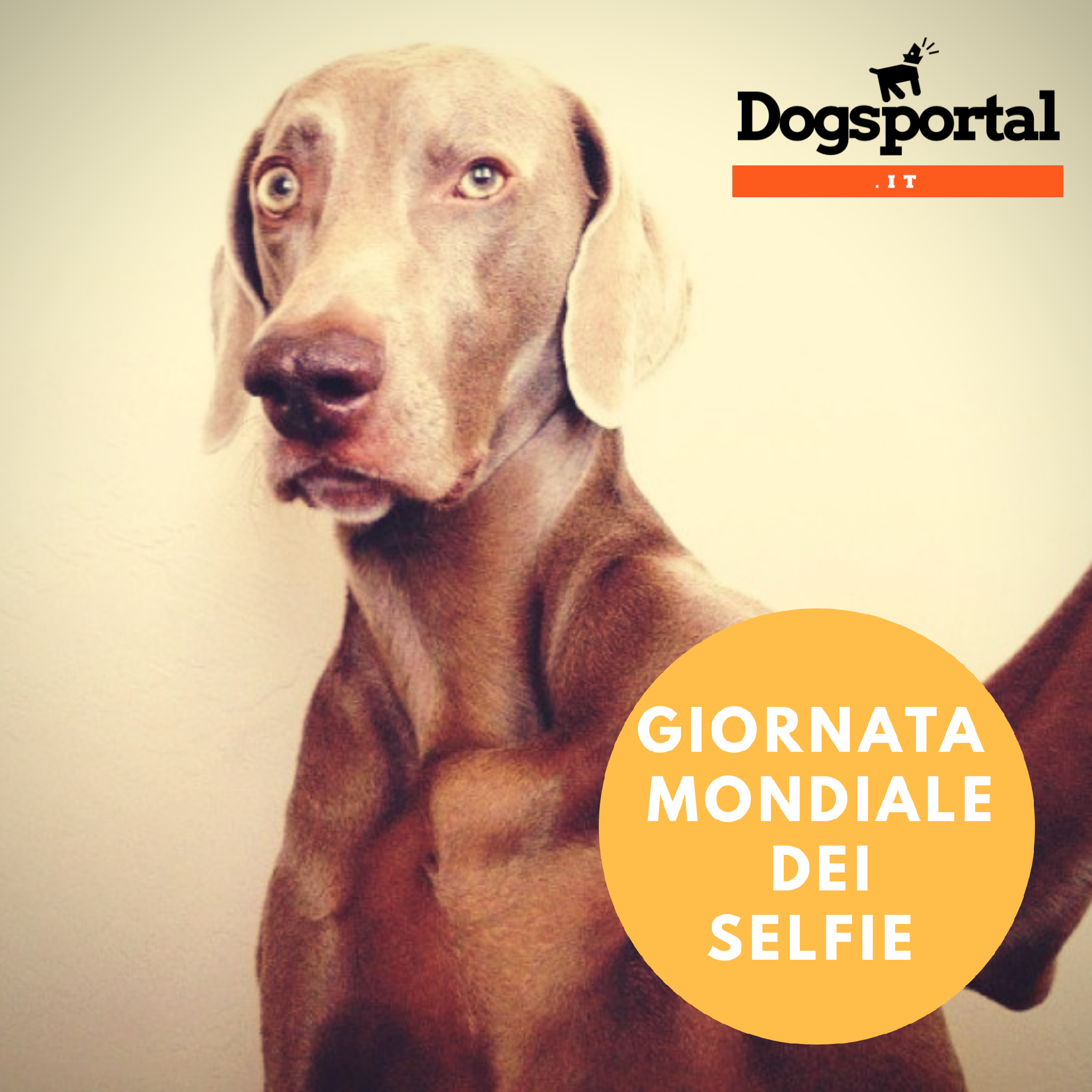La foto con più like la sbattiamo in prima pagina!