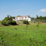 B&B I BRACCHI di Rimini