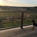 B&B I BRACCHI di Rimini