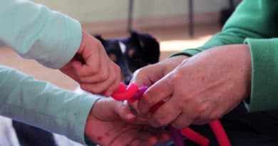 Un calendario per rinnovare un progetto di Pet Therapy dedicato all’autismo.