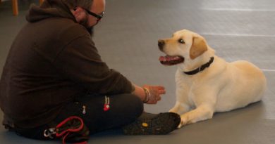 Cani e disabilità, perchè scegliersi. Due storie a confronto