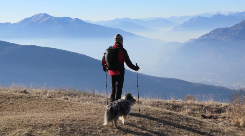 In montagna con il cane