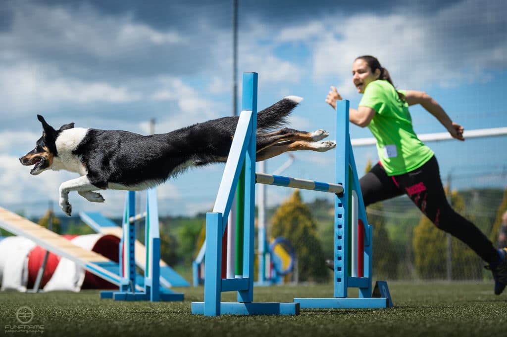 fotografare l'agility