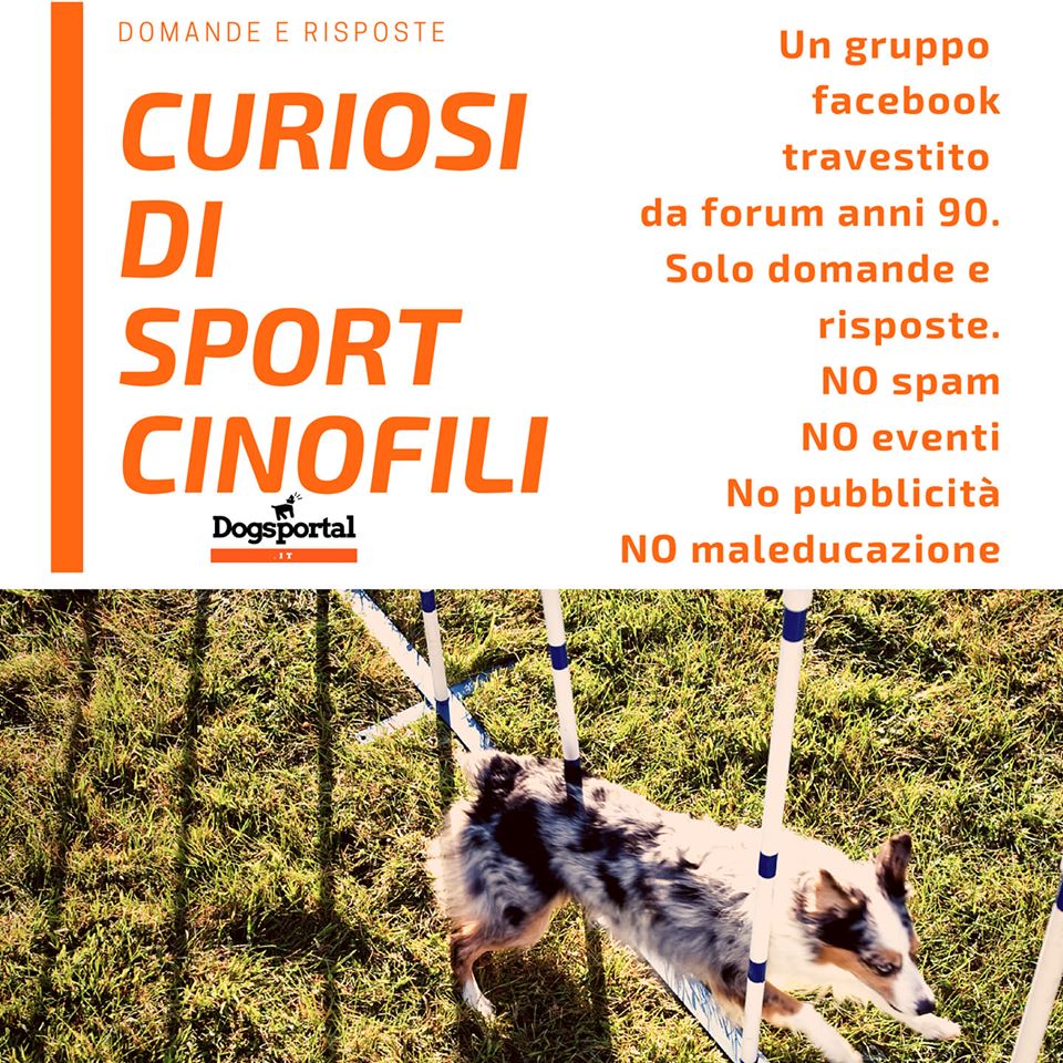 Curiosi di sport cinofili è il gruppo facebook dove fare domande ed ottenere risposte educate sul cane e lo sport.