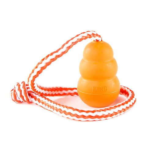 Kong Aqua per cani