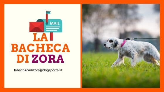 La bacheca di Zora