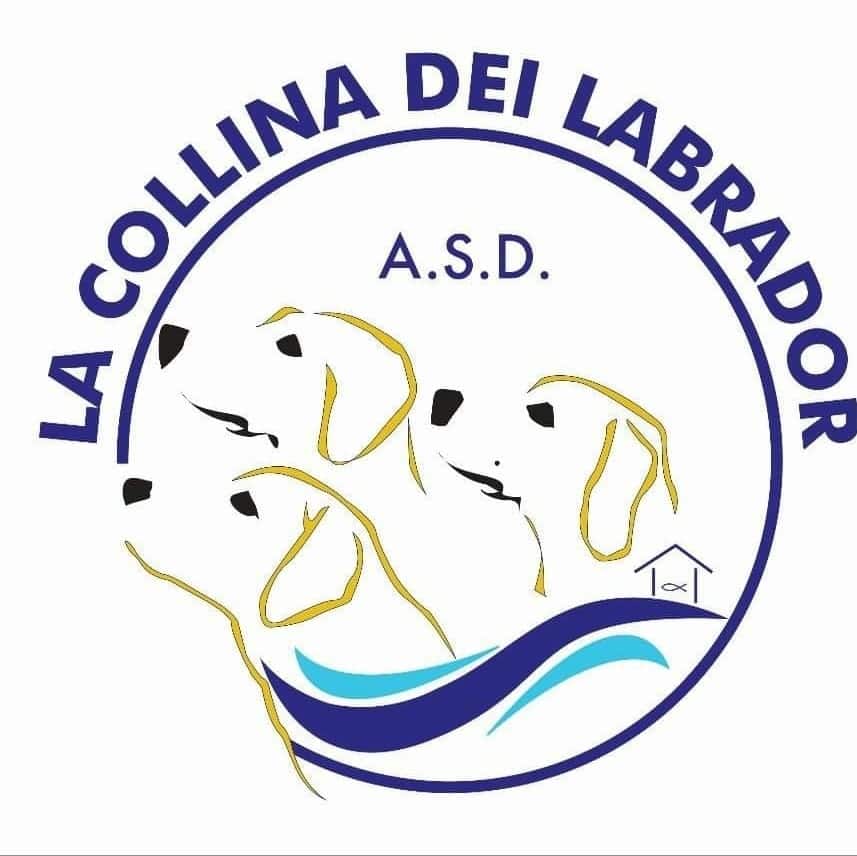 La collina dei Labrador, piscina per cani a Tortona (Alessandria)