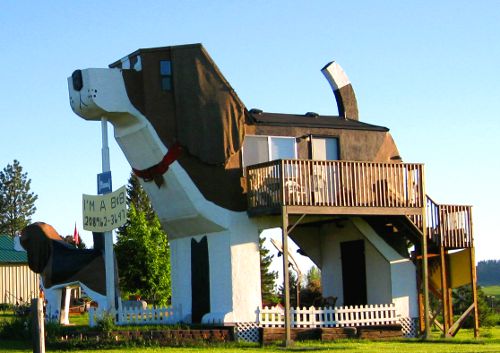 albergo dog friendly