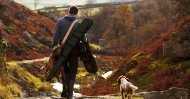 Conoscere la caccia per proteggere noi e i nostri cani