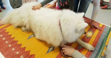 Accarezzare il cane durante un progetto di Pet Therapy