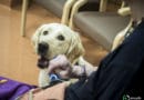 Pet Therapy e tossicodipendenza