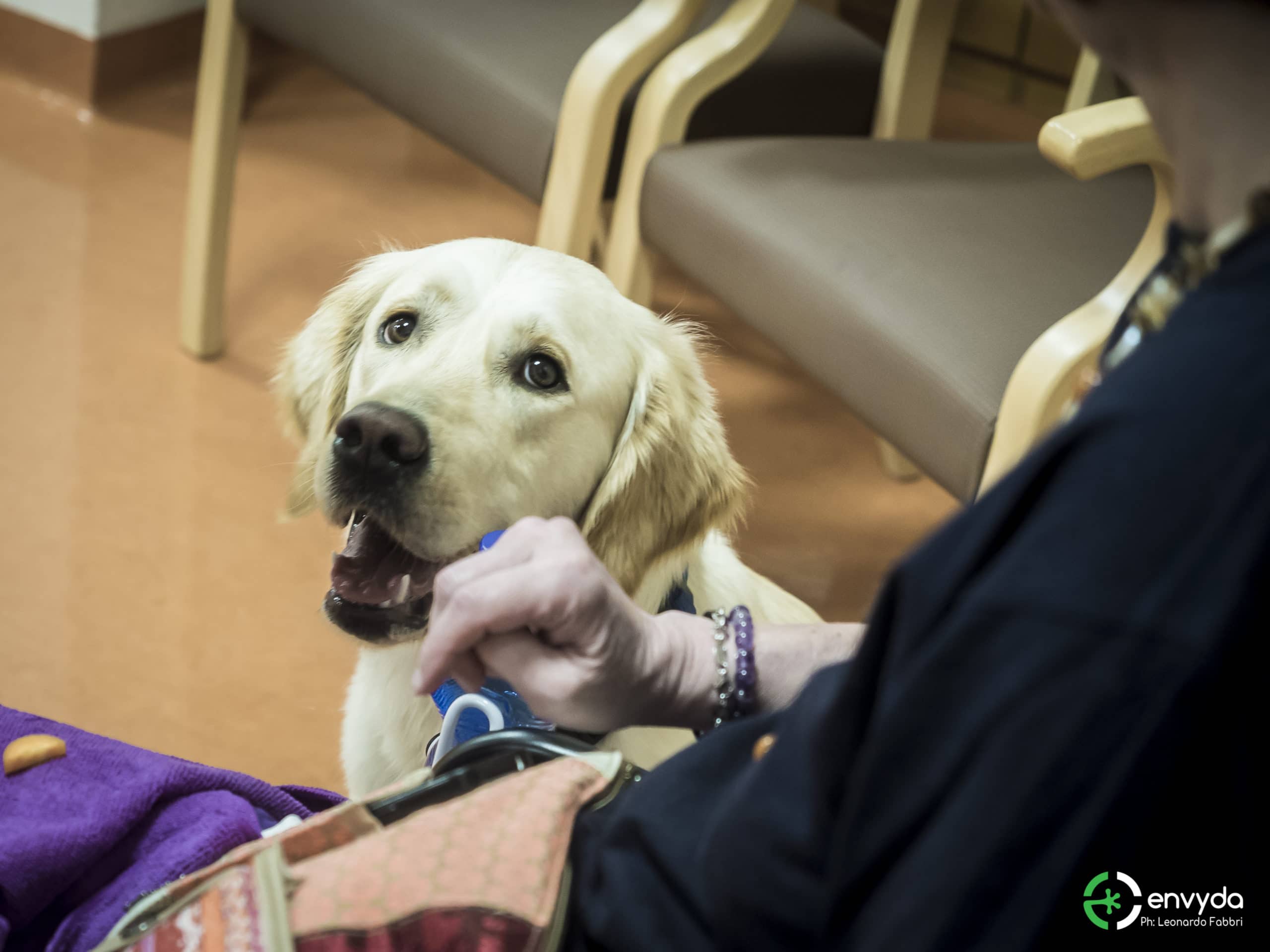 Pet Therapy e tossicodipendenza