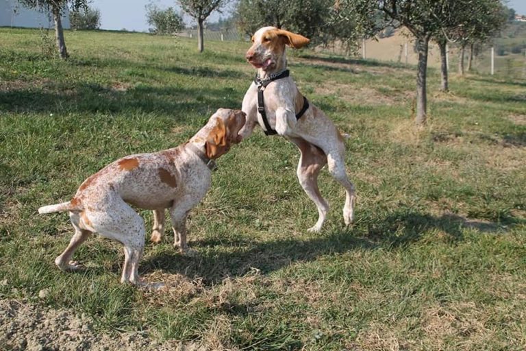 I Bracchi Bed and Breakfast in autunno