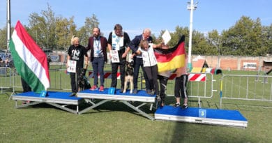 Wusv Wm 2019