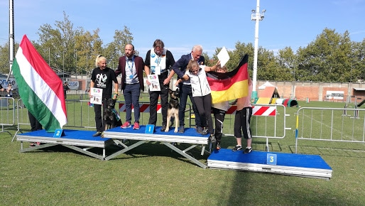 Wusv Wm 2019