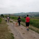 Nordic Walking Dog