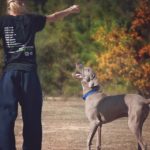 Metodi di addestramento del cane