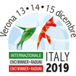 Enci Winner 2019