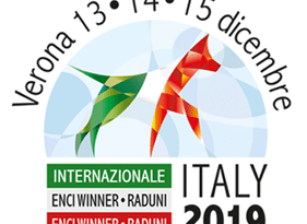 Enci Winner 2019