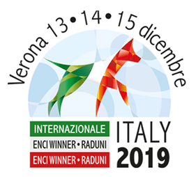 Enci Winner 2019