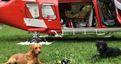 i cani da soccorso