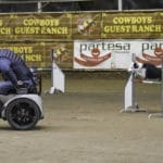 Campione Italiano ParAgility FISC 2019.