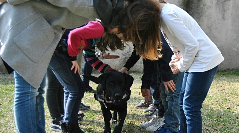 istruttore esperto in Pet Therapy