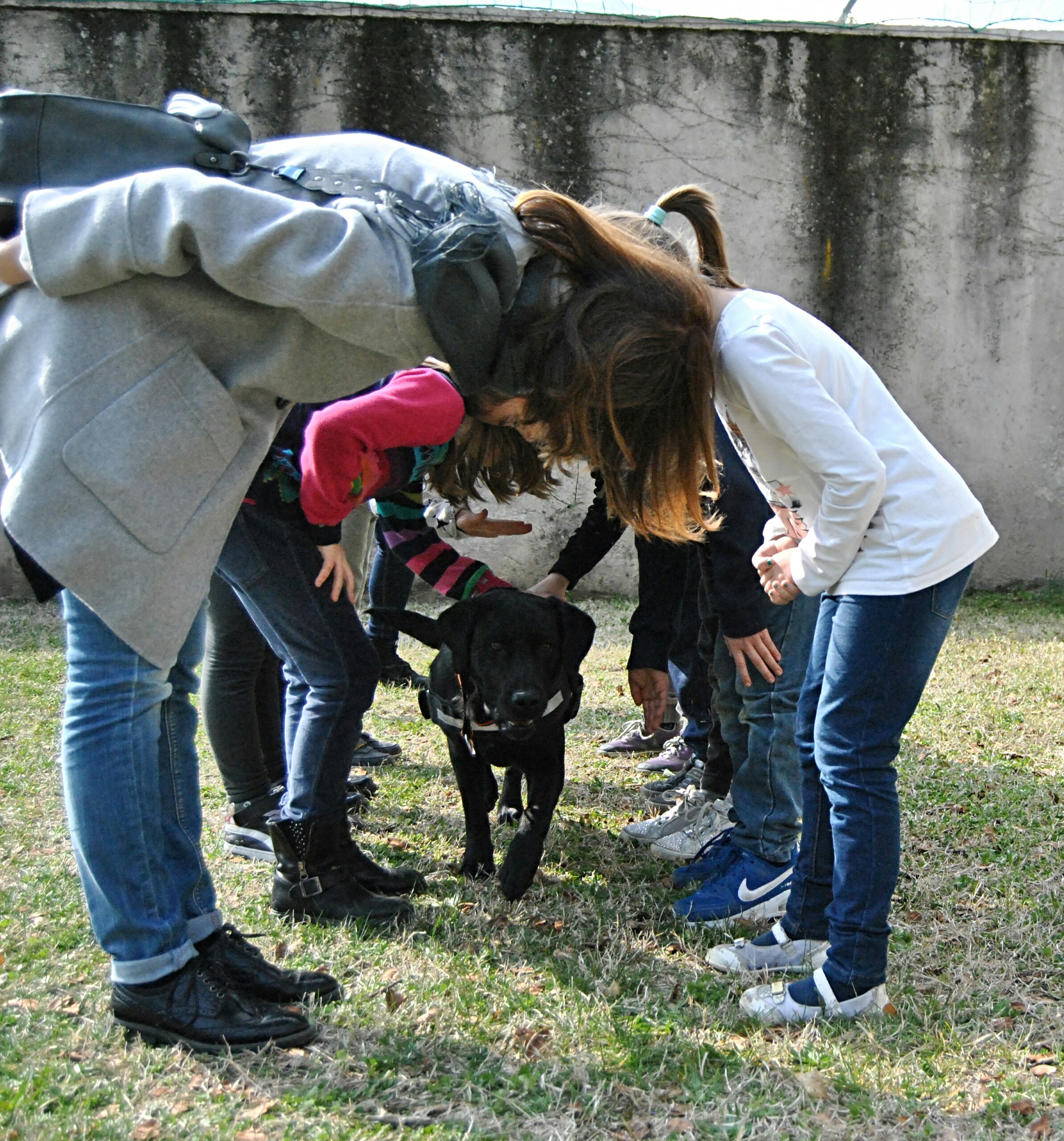 istruttore esperto in Pet Therapy