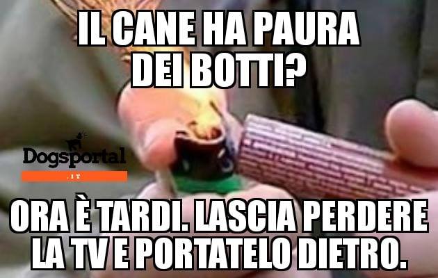 MEME CANI E CAPODANNO