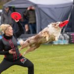 Fare sport con il cane è importante?