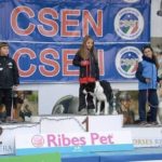 I benefici della Rally Obiedience
