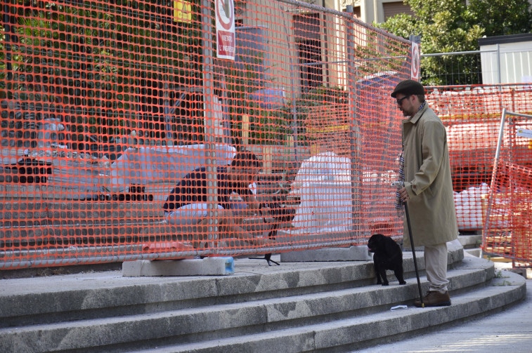 Il cane Orlando