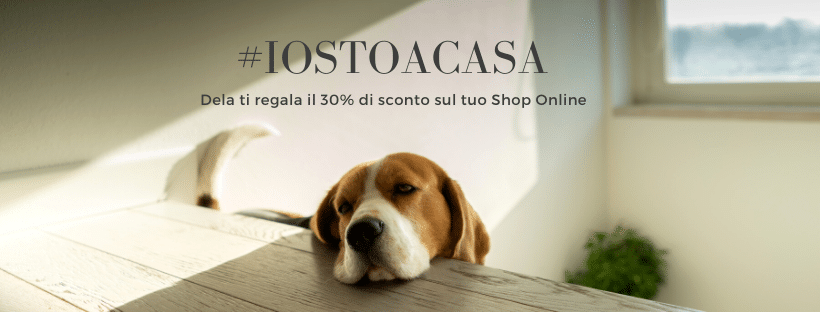 le offerte migliori per i nostri cani