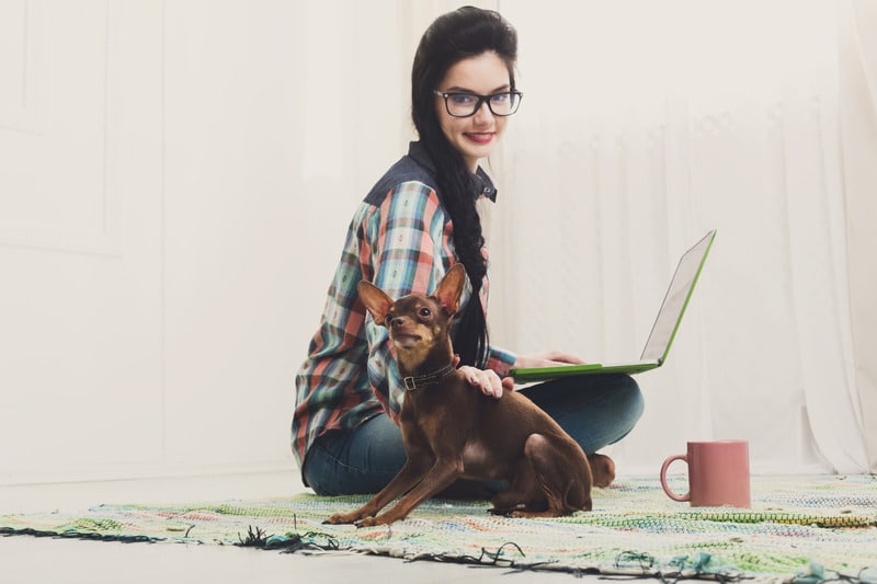 E-learning e cinofilia