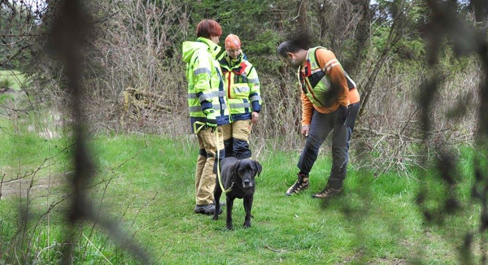 Approccio cognitivo nell’addestramento del cane da ricerca