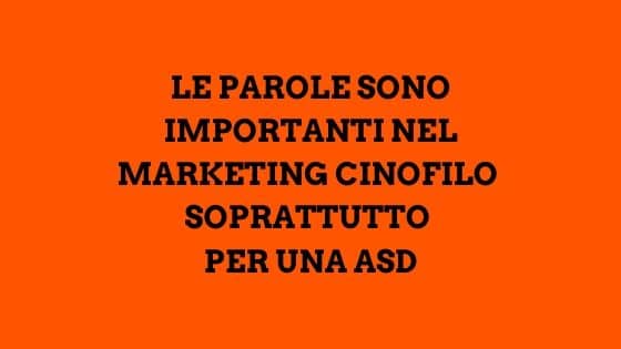 Parliamo di marketing e di comunicazione cinofila per le ASD? 