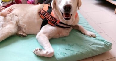 Luckyleo: lettura, bambini e cani. Un bel progetto di Pet Therapy.