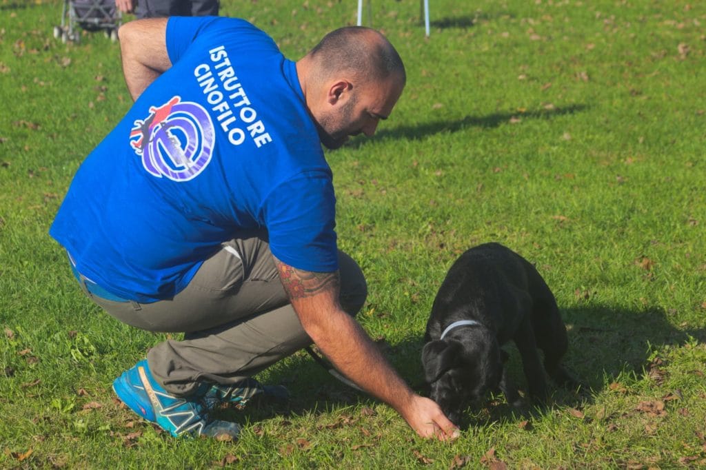 Leonardo Cicogna - intervista su Dogsportal.it parliamo del centro cinofilo E-Dogo