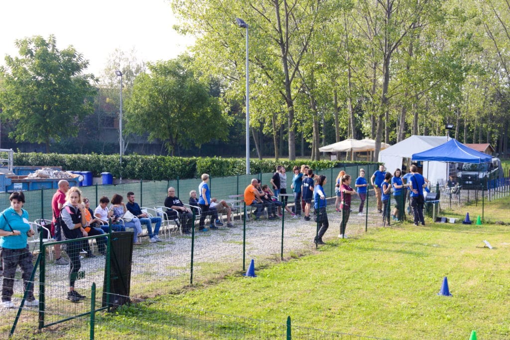 E-Dog centro cinofilo Druento