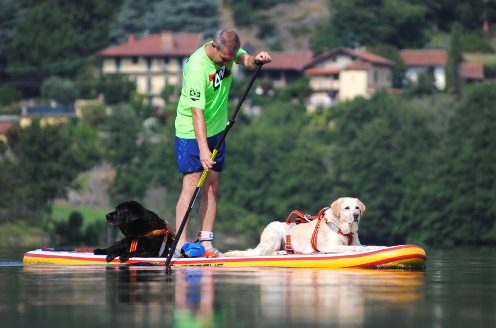 Dogsup.it: il primo blog italiano dedicato al DOGSUP