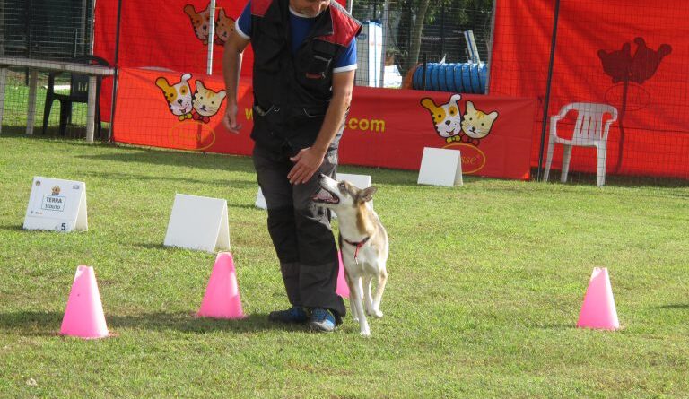 Rally-o di Marco Chiaro