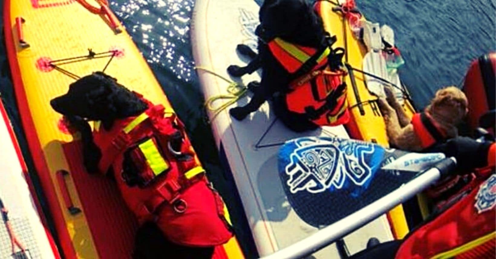 dogsup.it il primo blog italiano dedicato al dogsup!