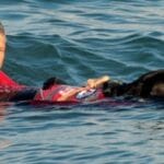 La cultura dell'acqua in cinofilia