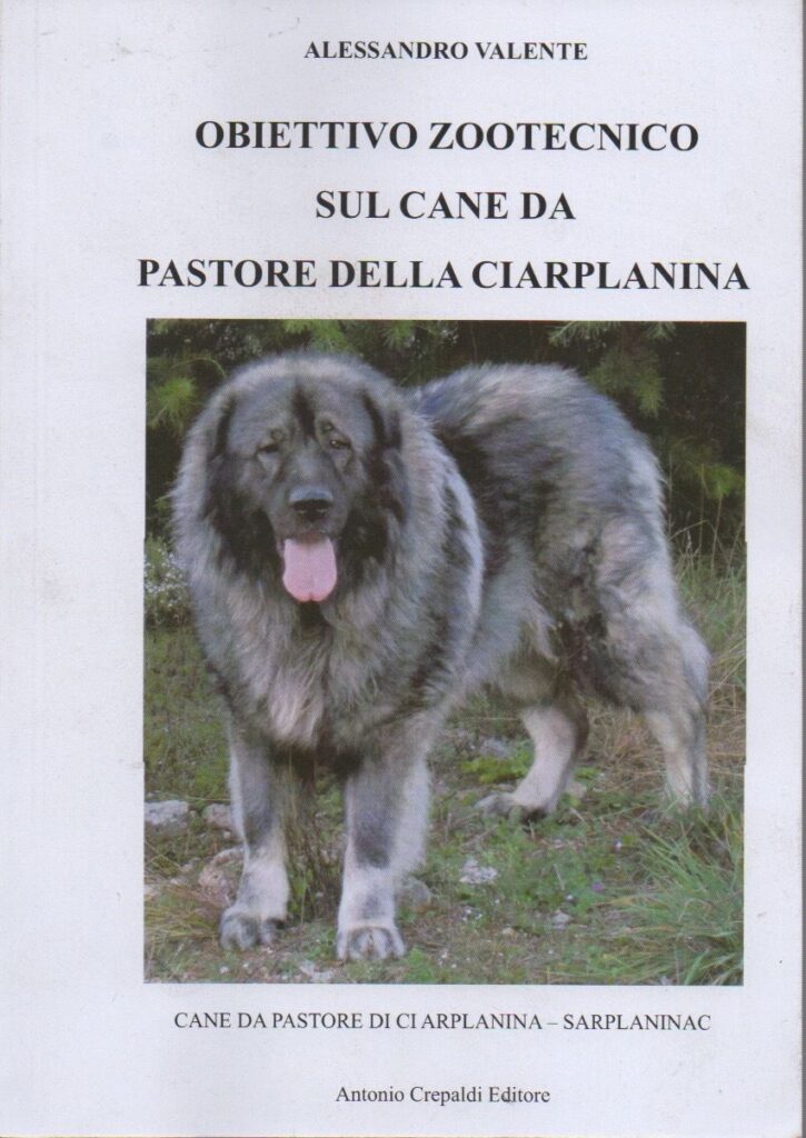 Obiettivo zootecnico sul cane da Pastore della Ciarplanina