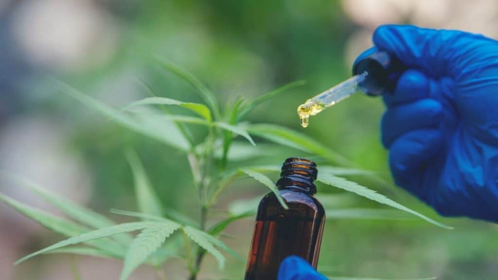 Olio di CBD al cane