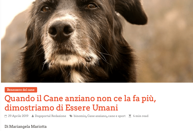 Il mese del cane anziano