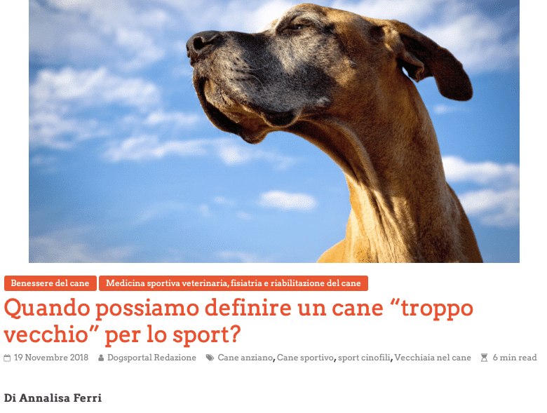 Il mese del cane anziano